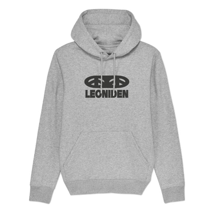 Hoodie LEONIDEN | grey